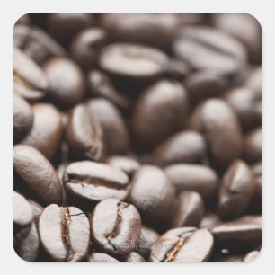 Kona Purple Mountain organic coffee beans Square Sticker
