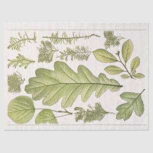 Konversations leaves (1894) Ephemera Decoupage Tissue Paper