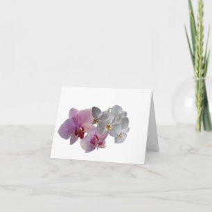 Konymoi "Orchid Bloom" blank Folded Greeting Card