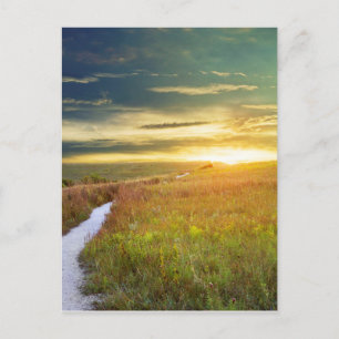 Konza Prairie Path Postcard
