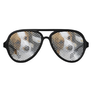 Kooikerhondje Dog Aviator Sunglasses