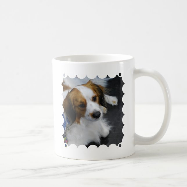 Kooikerhondje Dog  Coffee Mug (Right)