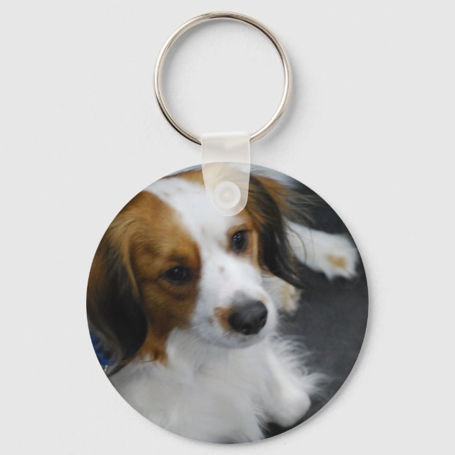 Kooikerhondje Dog Keychain (Front)