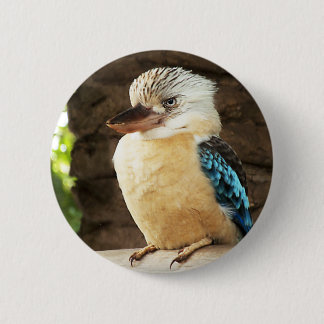 Kookaburra 6 Cm Round Badge
