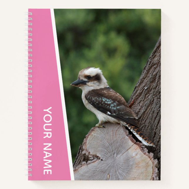 Kookaburra Australia Laughing Bird, Pink Notebook (Front)