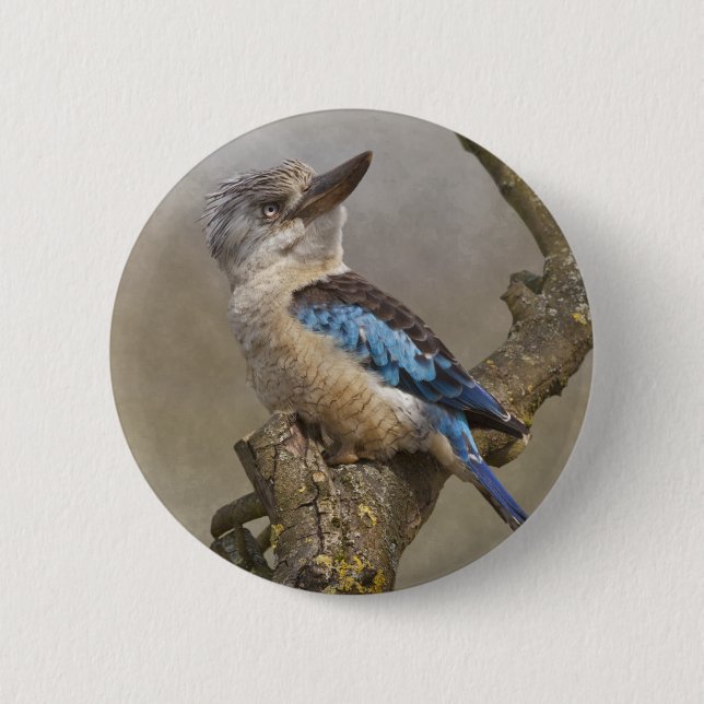Kookaburra Badge (Front)