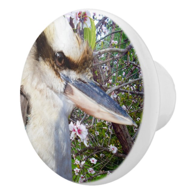 Kookaburra Beside A Blossom Tree, Ceramic Knob (Right)