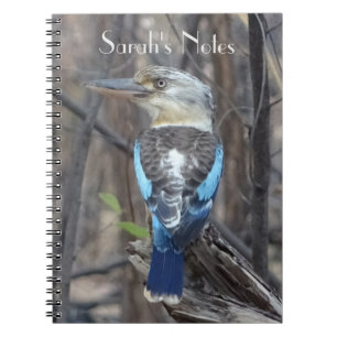 Kookaburra Bird Notebook