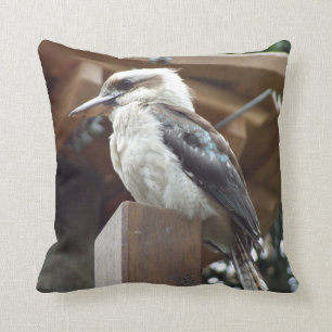 Kookaburra Cushion