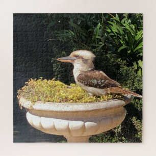 kookaburra jigsaw puzzle