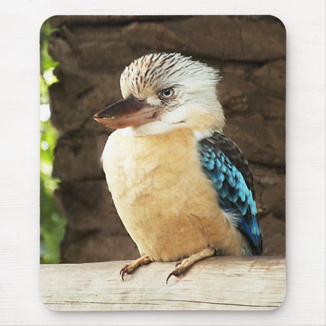 Kookaburra Mouse Pad (Front)