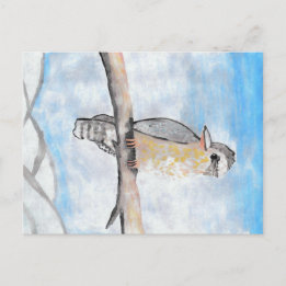 Kookaburra Postcard