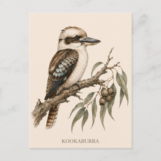 Kookaburra Postcard | Bush Edition (Front)