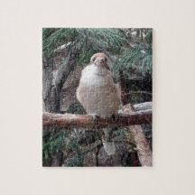 Kookaburra Puzzle