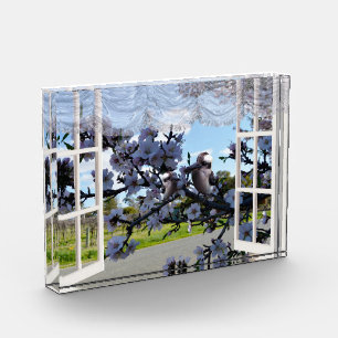 Kookaburras Out My Window, Photo Block