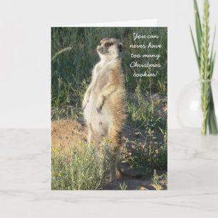 Kookie Klenky - Seasons Greetings Card