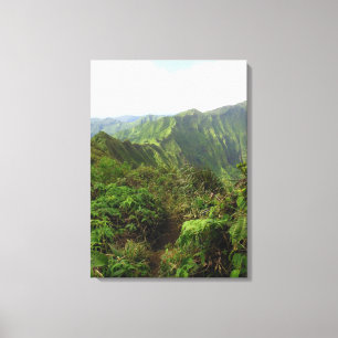 Koolau Mountain Trail Canvas Print