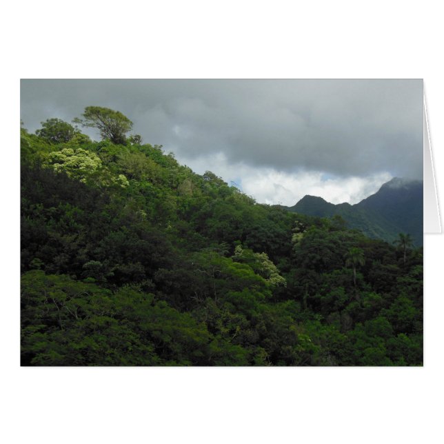Koolau Mountains (Front Horizontal)