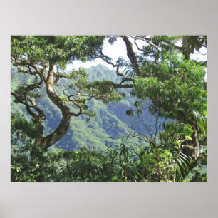 Ko'olau Mountains and Koa trees Poster