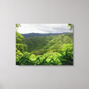 Koolau Mountains Canvas Print