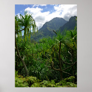 Koolau Mountains Poster