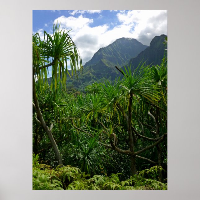 Koolau Mountains Poster (Front)