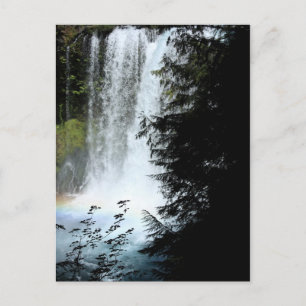 Koosah Falls Oregon Waterfall Postcard