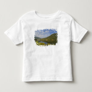 Kootenay Lake in Nelson British Columbia Toddler T-Shirt