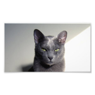 korat photo print