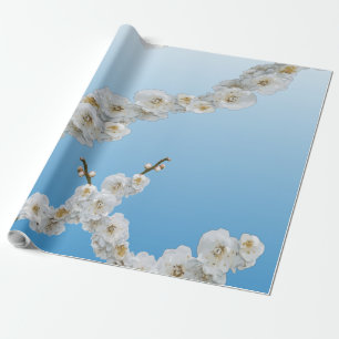 Korea Cherry Blossoms White Wrapping Paper