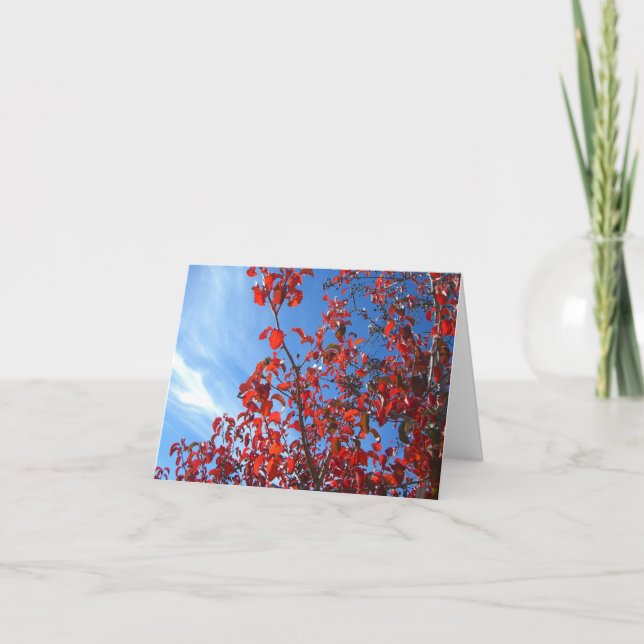 Korean Pear Card (Front)