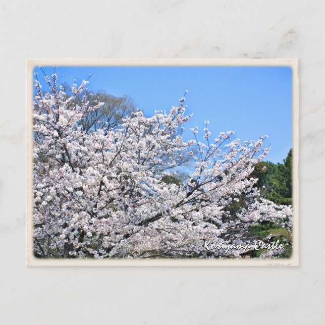 Kōriyama Castle Postcard (Front)