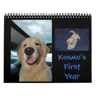 Kosmo's First Year Calendar