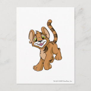 Kougra Brown Postcard