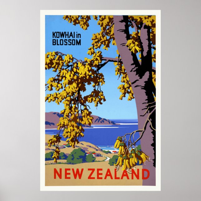 Kowhai in Blossom New Zealand Vintage Poster (Front)