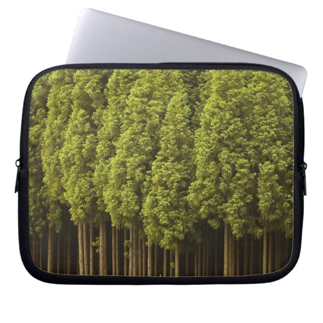Koya Sugi Cedar Trees Laptop Sleeve (Front)