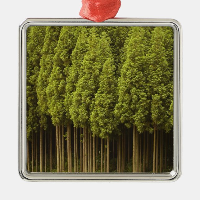 Koya Sugi Cedar Trees Metal Tree Decoration (Front)