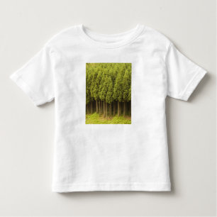 Koya Sugi Cedar Trees Toddler T-Shirt