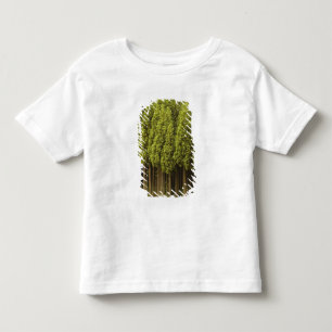 Koya Sugi Cedar Trees Toddler T-Shirt