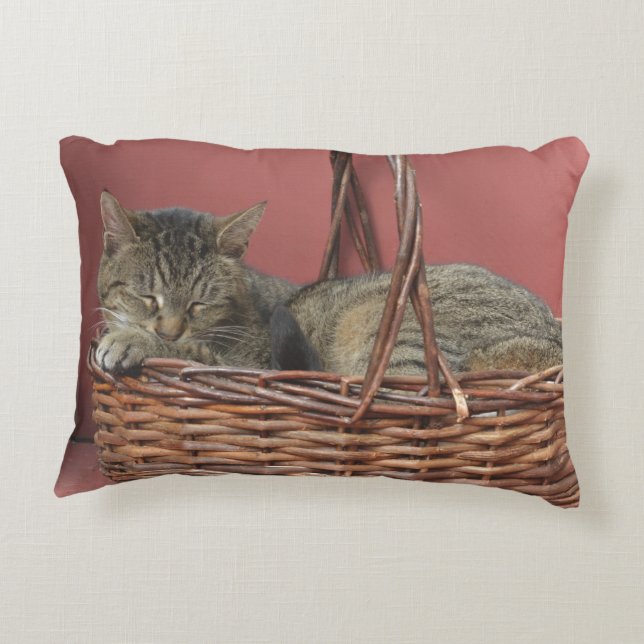 Kozy Kitty Pillow (Back)
