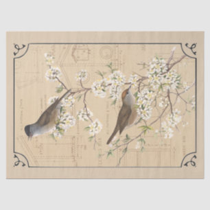 Kraft Warbler Bird Birdhouse Border Decoupage Tan Tissue Paper