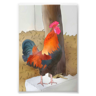 Krähender Photo Print