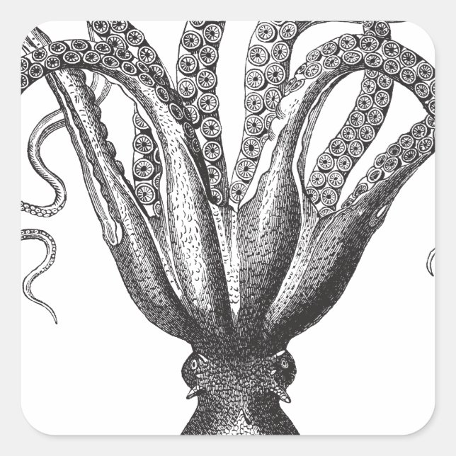 Krake / The Kraken Square Sticker (Front)