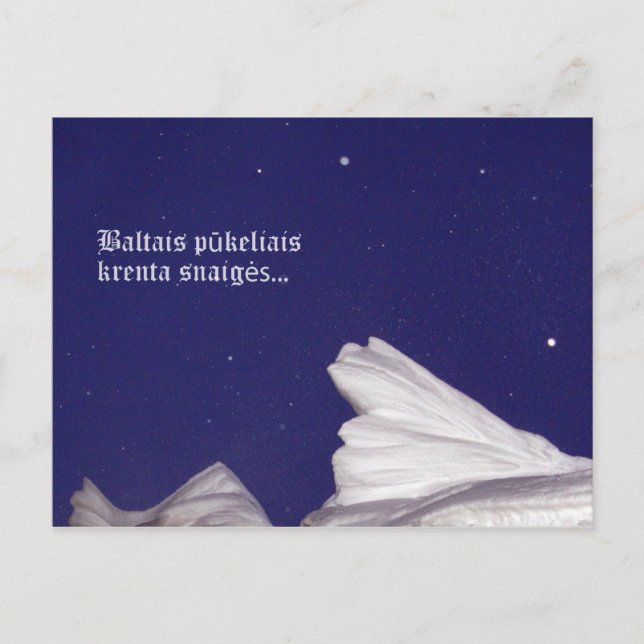 Krenta sniegas Postcard (Front)