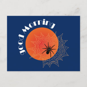 Kreuzspinne im Netz bei Sonnenaufgang Postcard