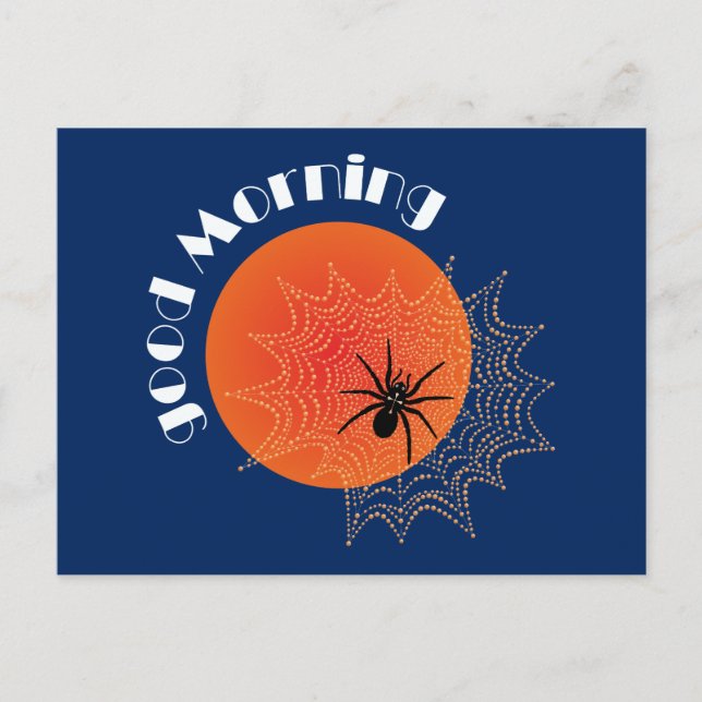 Kreuzspinne im Netz bei Sonnenaufgang Postcard (Front)