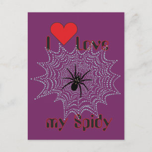 Kreuzspinne im Netz Postcard