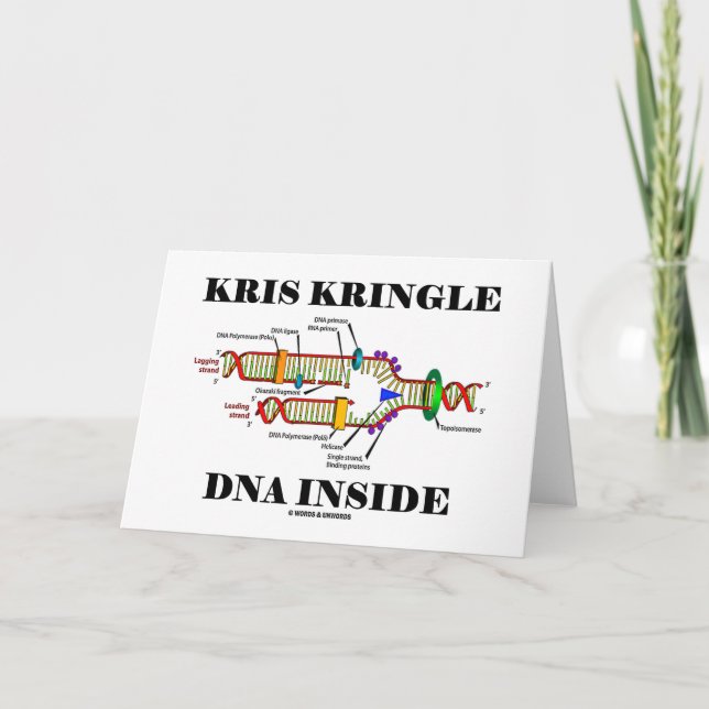 Kris Kringle DNA Inside (DNA Replication) Holiday Card (Front)