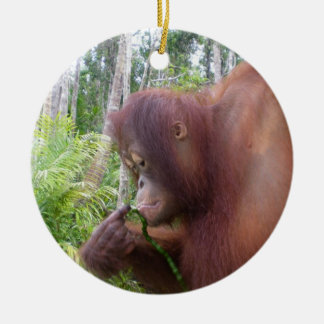 Krista Orangutan in Borneo Ceramic Tree Decoration