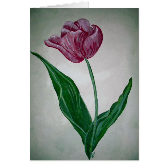 Kristy's tulip (Front)